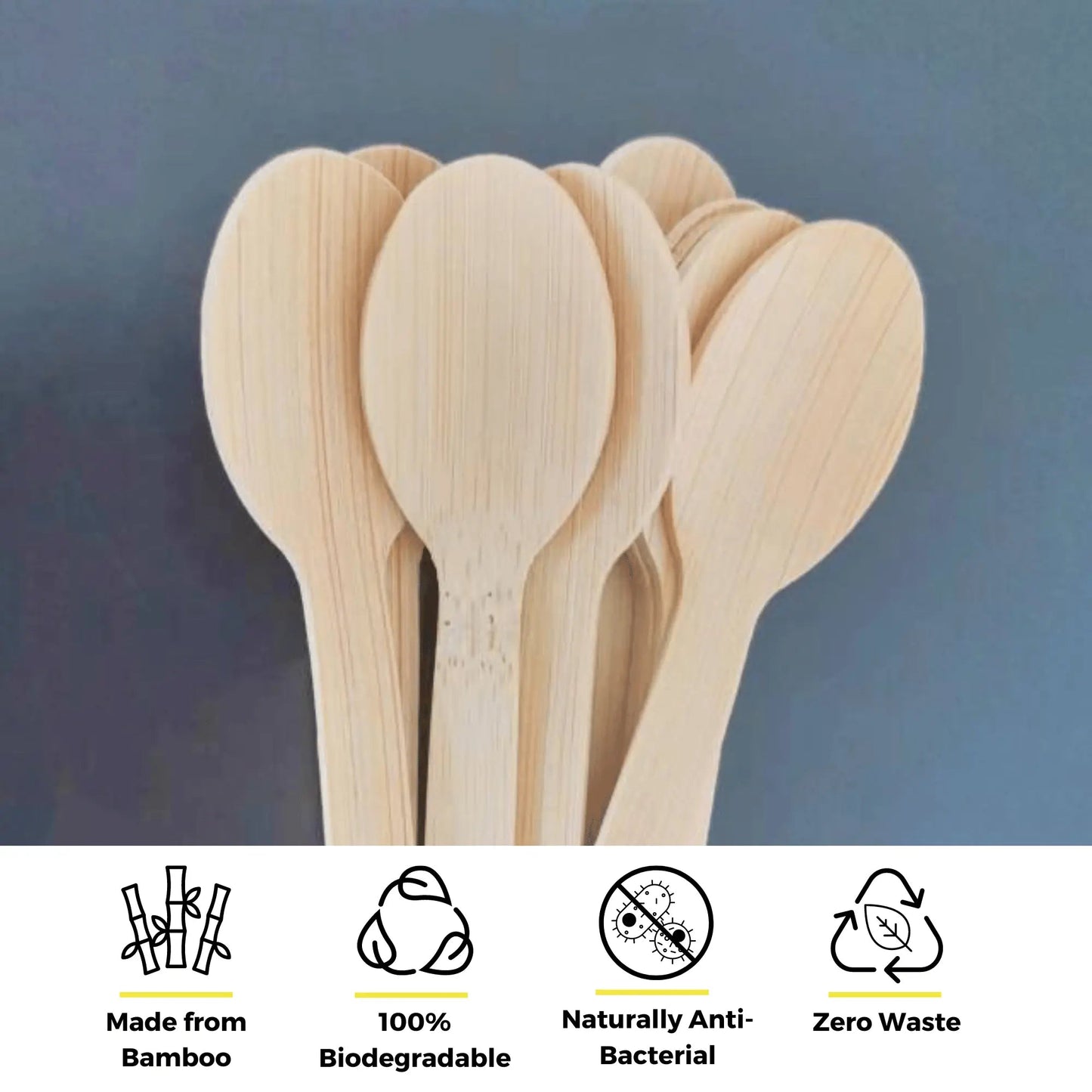 6.7" Bamboo Spoons